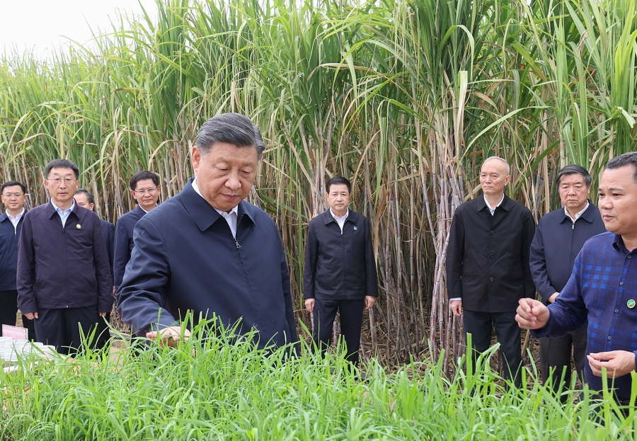 习近平在广西来宾市考察调研_https://www.izongheng.net_时政_第2张